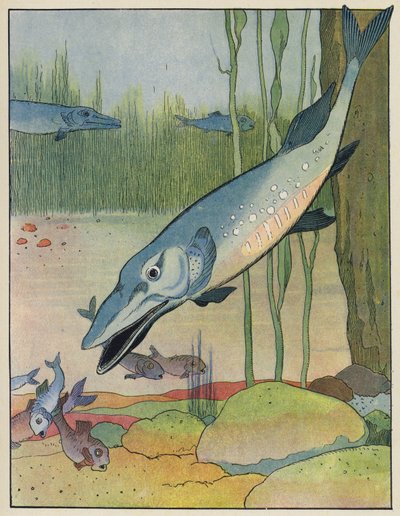 Peces de Benjamin Rabier