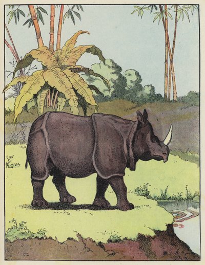 Rinoceronte indio de Benjamin Rabier