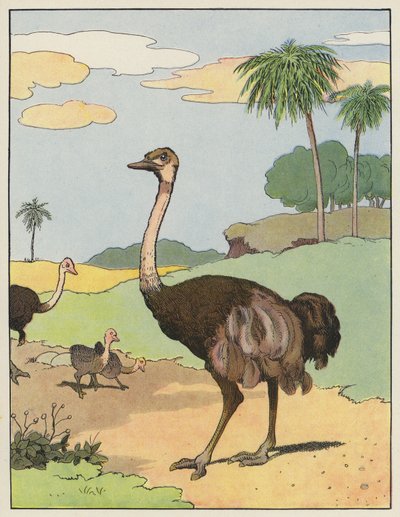 Avestruz de Benjamin Rabier
