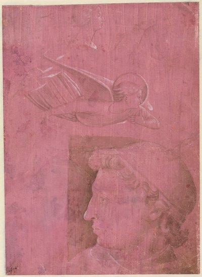 Cabeza de un Hombre, Dos Estudios del Perfil de una Mujer y un Estudio de un Ángel (verso) de Benozzo Gozzoli