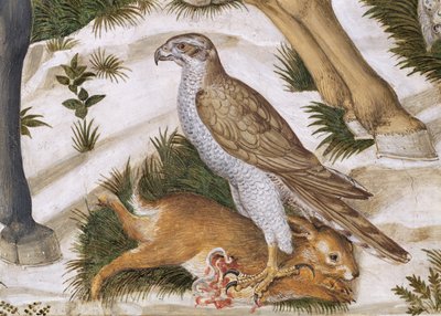 Halcón con conejo capturado, detalle del ciclo del Viaje de los Magos en la capilla, c.1460 (detalle) de Benozzo di Lese di Sandro Gozzoli