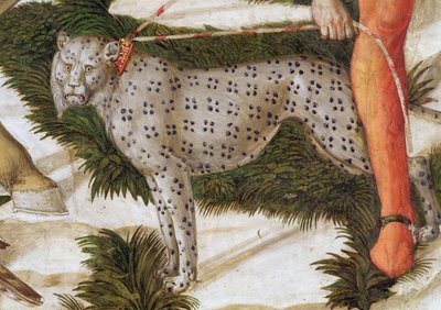 Leopardo tirando de una correa, detalle del ciclo del Viaje de los Magos en la capilla, c.1460 (detalle) de Benozzo di Lese di Sandro Gozzoli