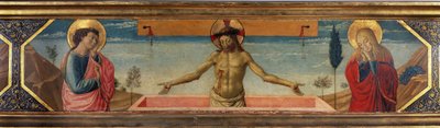 Imagen desconocida de Benozzo di Lese di Sandro Gozzoli