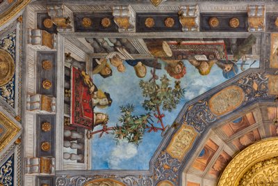 Un gato, instrumentos musicales y figuras masculinas y femeninas, detalle, bóveda de la Sala del Tesoro (fresco) (detalle de 3707463) de Benvenuto Tisi da Garofalo