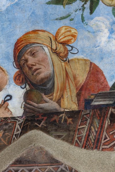Figura femenina, detalle de la bóveda, Aula Costabiliana o Sala del Tesoro (fresco) de Benvenuto Tisi da Garofalo