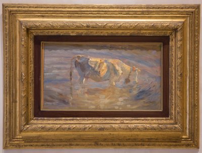 Vaca de Beppe Ciardi