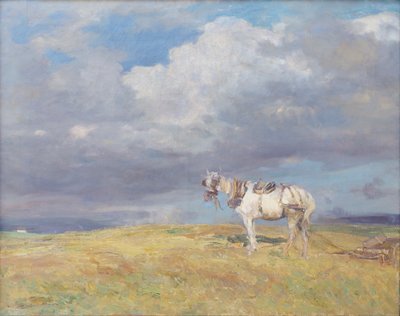 Caballo blanco, c.1910 (óleo sobre lienzo) de Beppe Ciardi
