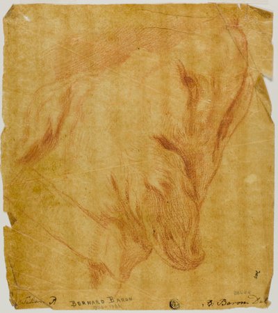 Cabeza de un perro de Bernard Baron