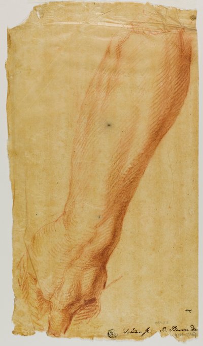 Brazo izquierdo de un cazador de Bernard Baron