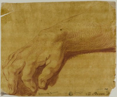 Mano derecha de Júpiter de Bernard Baron