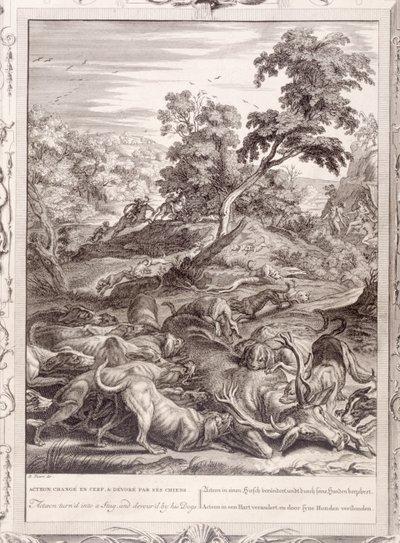 Acteón convertido en ciervo y devorado por sus perros, 1731 de Bernard Picart