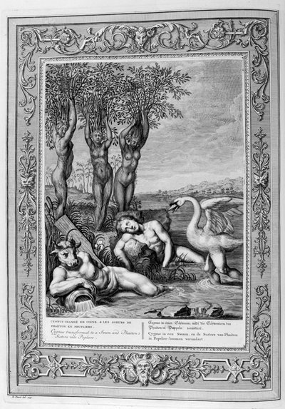 Cigno transformado en cisne y las hermanas de Faetón en álamos, 1733 de Bernard Picart