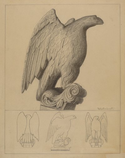 Águila de Bernard Westmacott