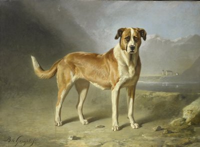 Un perro San Bernardo de Bernard te Gempt