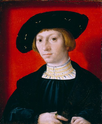 Un joven de Bernard van Orley