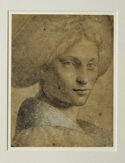 Retrato de una mujer con turbante, tres cuartos a la derecha ... de Bernardino (attr. to) Luini