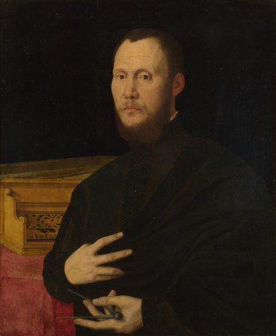 Retrato de un músico, c. 1565 de Bernardino Campi