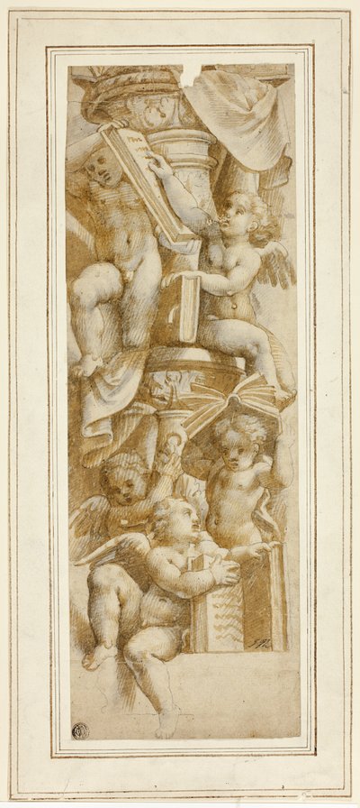 Cinco putti con libros de Bernardino Gatti