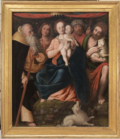 Madonna y el Niño con los Santos Antonio Abad, Sebastián, Rocco y Juan el Bautista de Bernardino Lanino