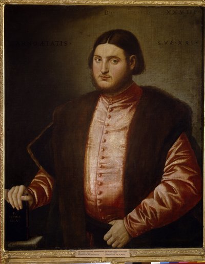 Retrato de un hombre (Retrato de un hombre). Pintura de Bernardino Licinio (circa 1489-circa 1565), óleo sobre lienzo de Bernardino Licinio