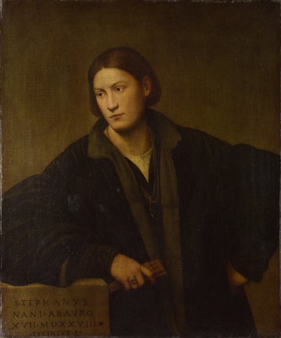 Retrato de Stefano Nani, 1528 de Bernardino Licinio