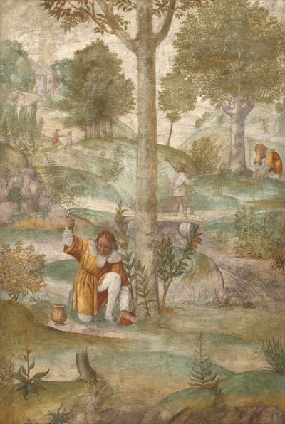 Céfalo ocultando las joyas de Bernardino Luini