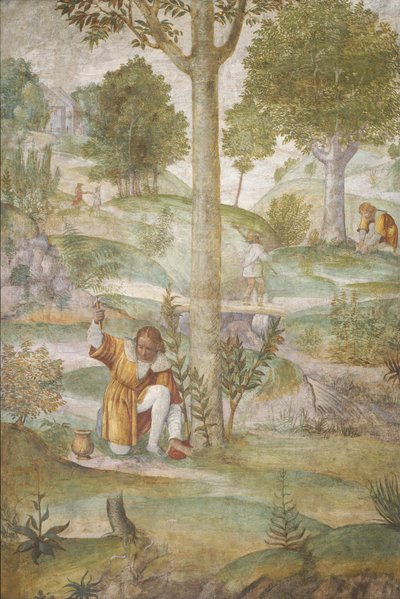 Céfalo escondiendo las joyas, c. 1520-1522 de Bernardino Luini