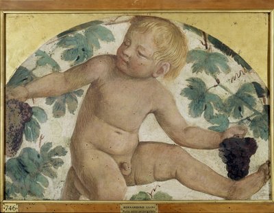 Putti cosechando - Putto bajo una pérgola, c.1514 (detalle) de Bernardino Luini