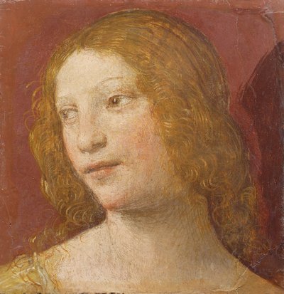 Cabeza de una joven de Bernardino Luini