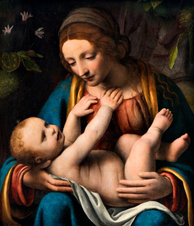 Madonna y Niño, 1515-1523 de Bernardino Luini
