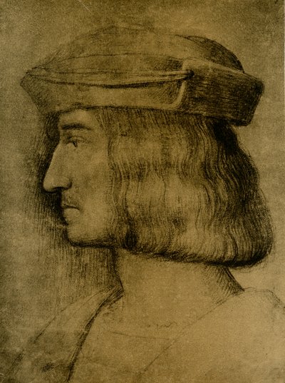 Retrato masculino de Bernardino Luini