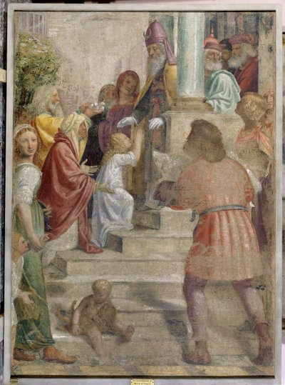 Presentación de María en el Templo de Bernardino Luini