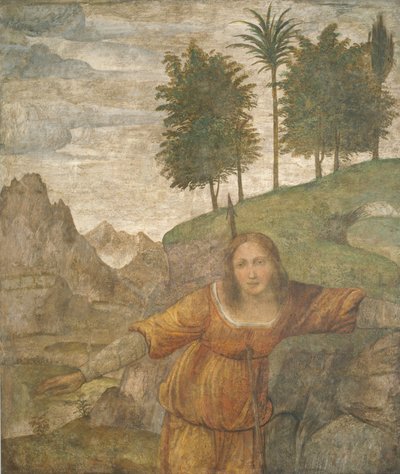 Procris atravesada por la jabalina de Céfalo de Bernardino Luini