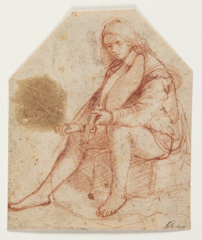 Joven sentado con viola de Bernardino Luini