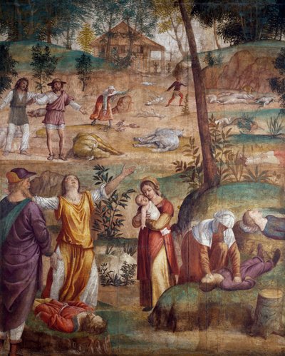 La muerte del primogénito de Bernardino Luini