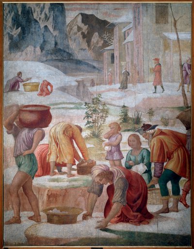 La recolección del maná, israelitas en el desierto de Bernardino Luini