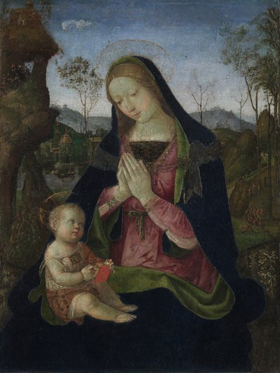Virgen con el Niño, c.1490-1500 (temple y óleo sobre madera) de Bernardino di Betto Pinturicchio