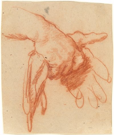 Una Mano Sosteniendo Guantes Vacíos de Bernardo Strozzi