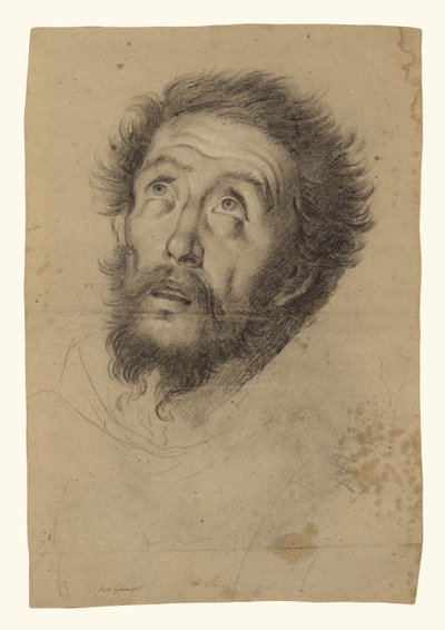 Cabeza de San Francisco (anverso); Estudios de la cabeza de San Francisco, cabeza de un anciano y dos manos derechas (reverso) de Bernardo Strozzi