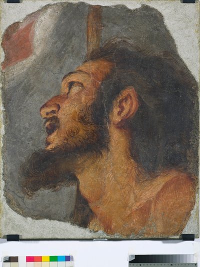 Cabeza de San Juan Bautista, fragmento de fresco desprendido, 1622 de Bernardo Strozzi