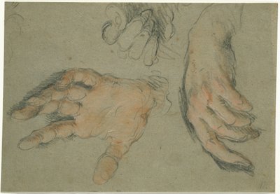 Estudio de tres manos, 1625-30 (tiza negra y roja sobre papel) de Bernardo Strozzi