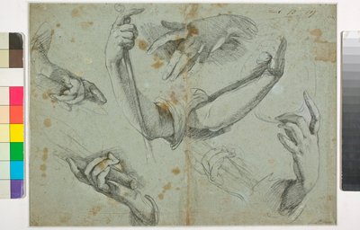 Imagen desconocida de Bernardo Strozzi