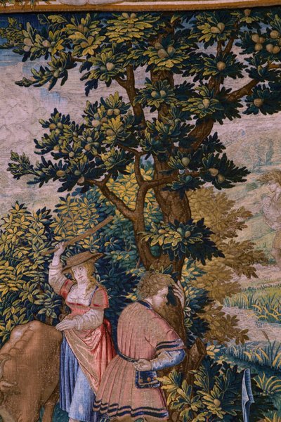 Tapiz flamenco. Serie La fundación de Roma: Faustulus conoce a Rómulo y Remo. Dibujante Barend van Orley (?). Fabricación de Bruselas. 1525-1530. Detalle. de Bernart van (attr. to) Orley