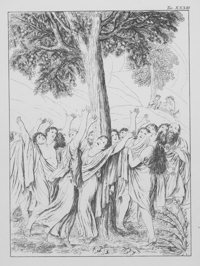 Divina Comedia de Dante, Purgatorio, Lámina XXXIII (litografía) de Bernhard Schuler