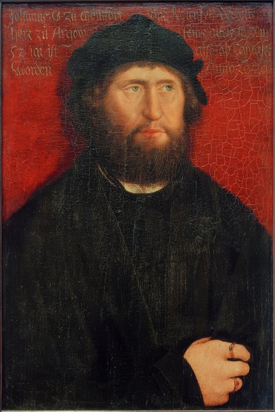 Retrato de Johann I, Conde de Montfort-Rothenfels de Bernhard Strigel
