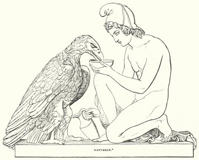 Ganimedes de Bertel after Thorvaldsen