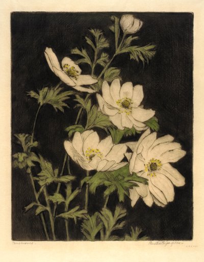 Anemones de Bertha E. Jaques