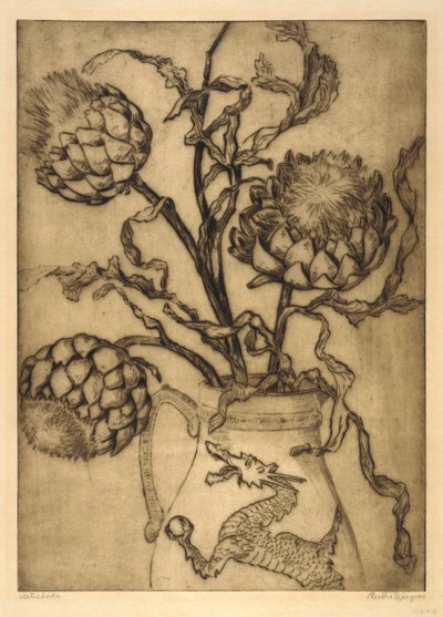 Alcachofa de Bertha E. Jaques