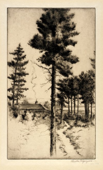 Cabaña en la naturaleza de Bertha E. Jaques