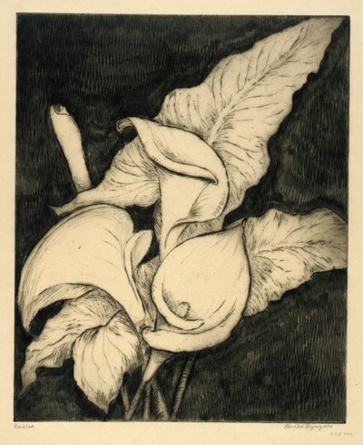 Callas de Bertha E. Jaques